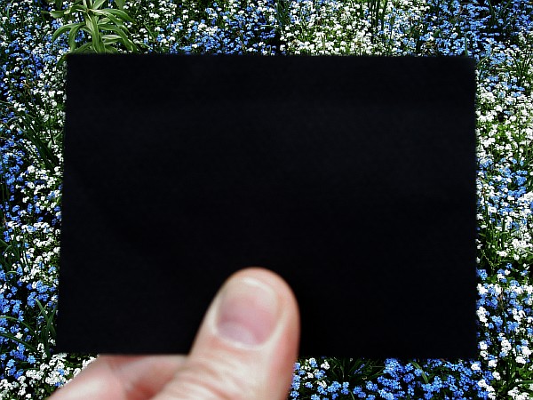 «Весна за черным экраном». Серия из 4-х фотографий, наклеенных на 10 мм мдф.