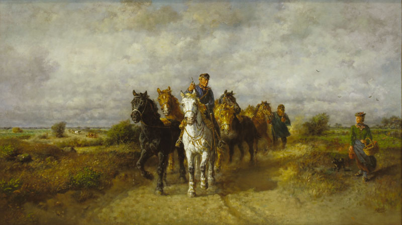 Лошади в поле.