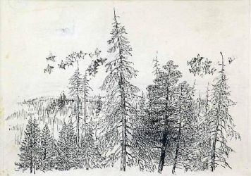 Иллюстрация к В. Бианки «Повести и рассказы « - «Птицы над лесом».