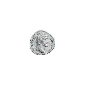 Антонин Пий. 138-166 гг. н.э. Денарий. Серебро. 
Вес  3,3 гр. Состояние XF.
