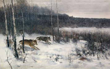 Охота на волков.
