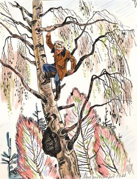 На дереве. Иллюстрация к книге Прощай Терентий.