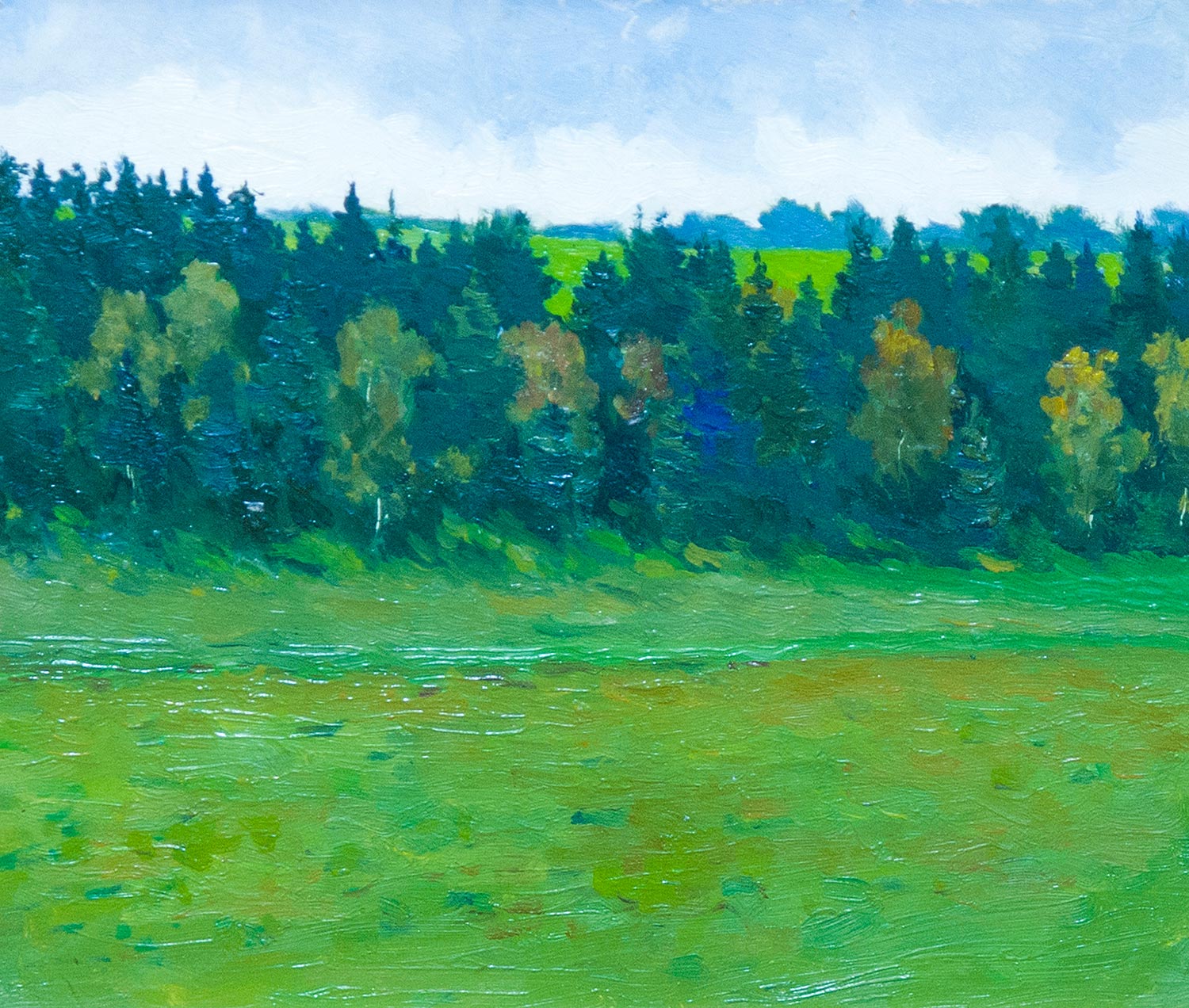 Forest.
