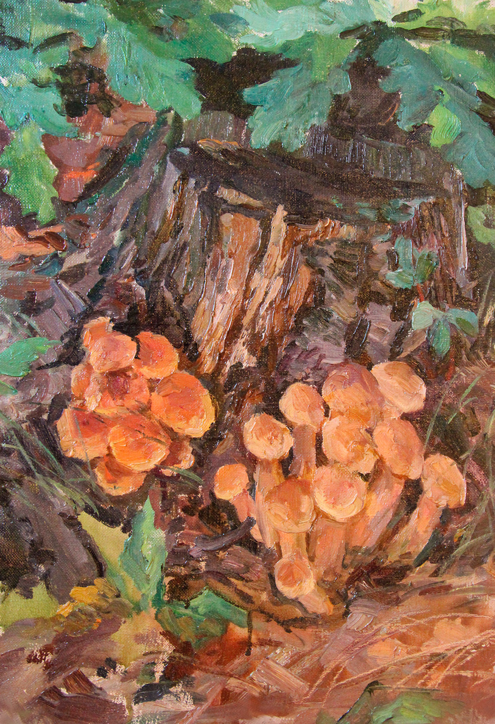 Honey mushrooms.