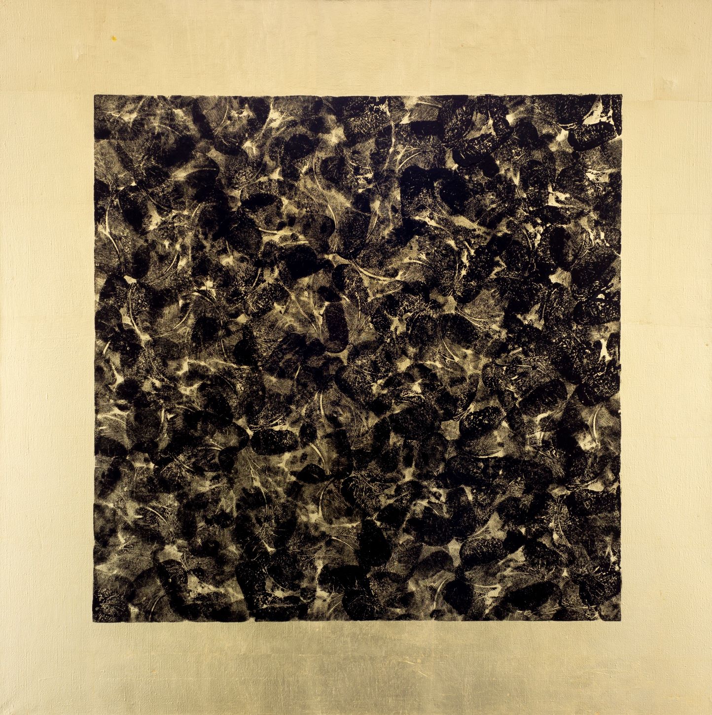 Black square.