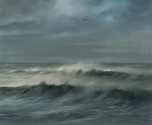 Seagull over the waves.