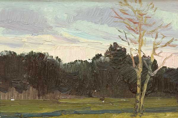 Sky in autumn