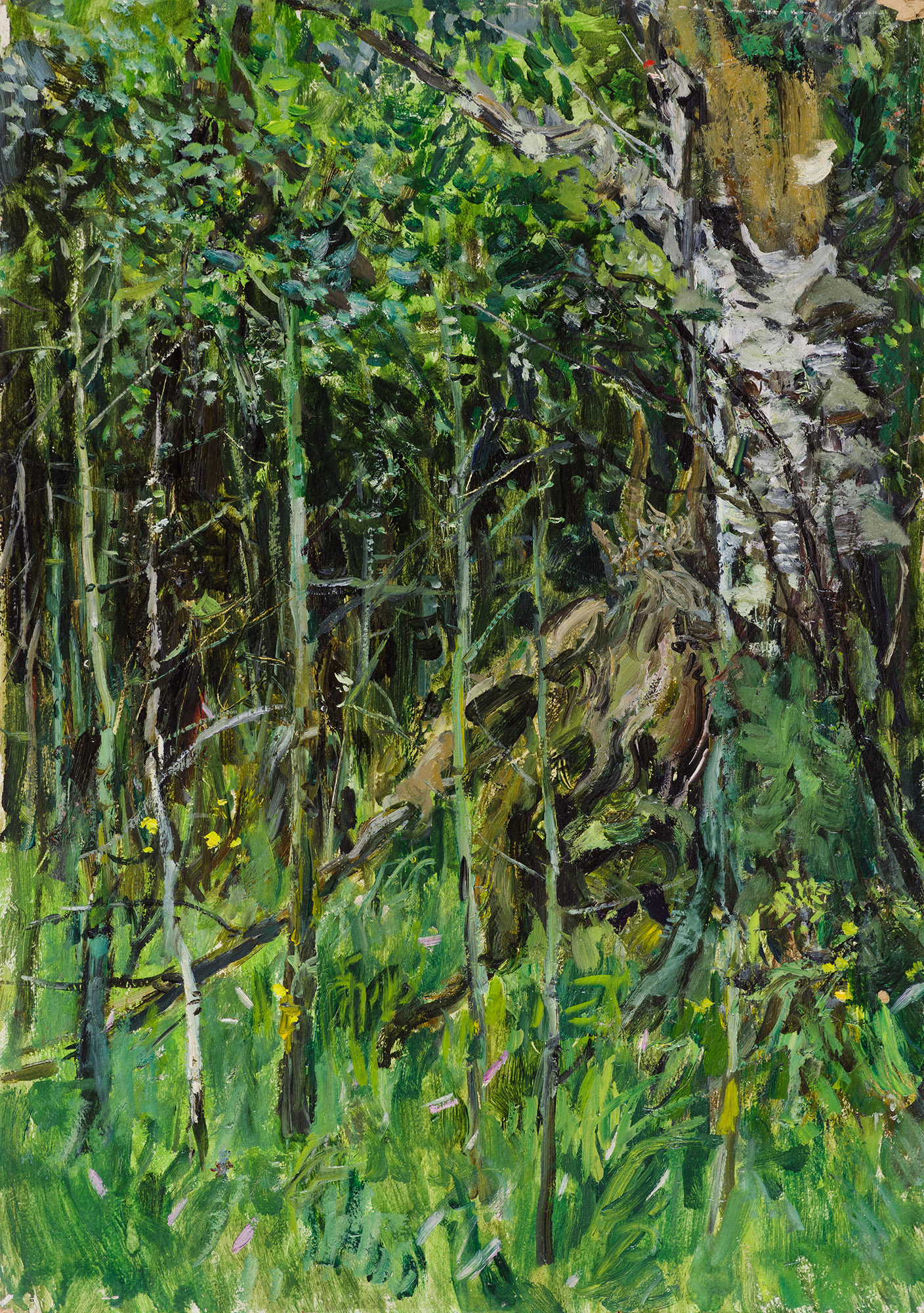 Leshy.