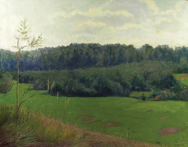 Landscape in Perkhushkovo.