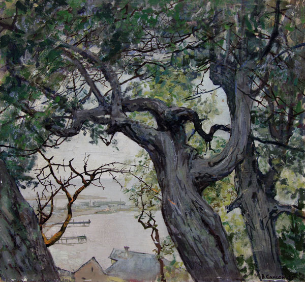 Old trees.