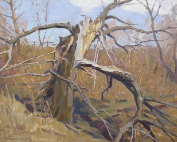 Old willow.
