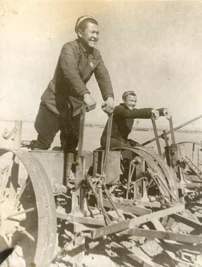 Shock workers plowing.