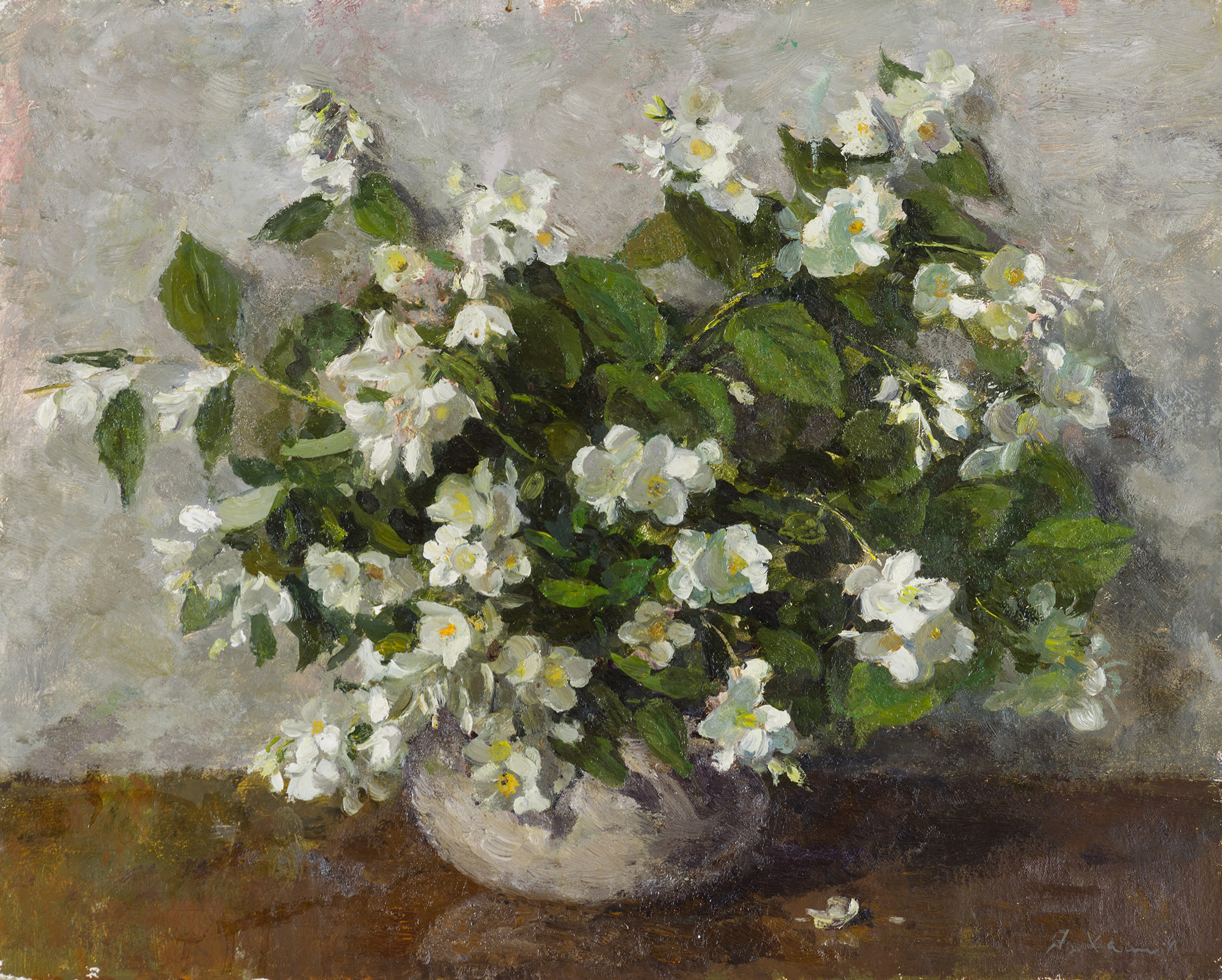 Jasmine. 