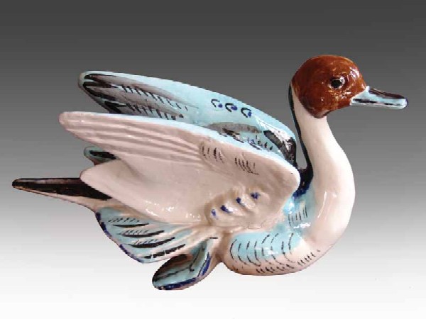 Duck. From the series of birds.