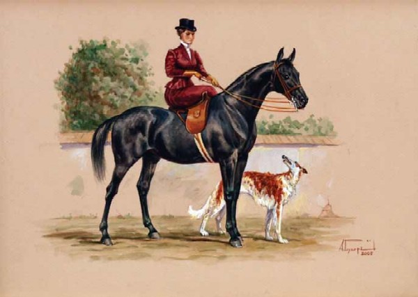 Riders of the Orlovo-Rostopchin horse (Amazon).