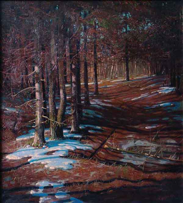 Thawed patches. Spruce forest.