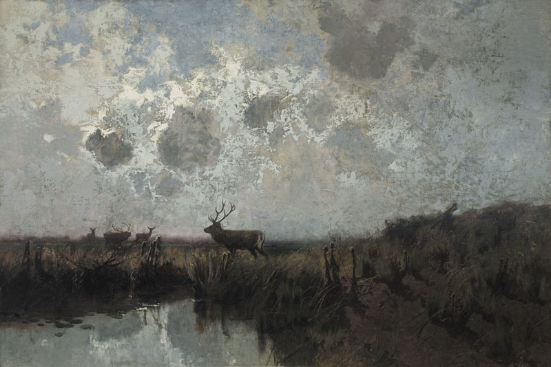 Deer.