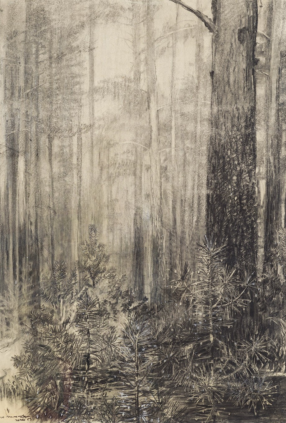 Damp forest. From the "Moscow Region" series.