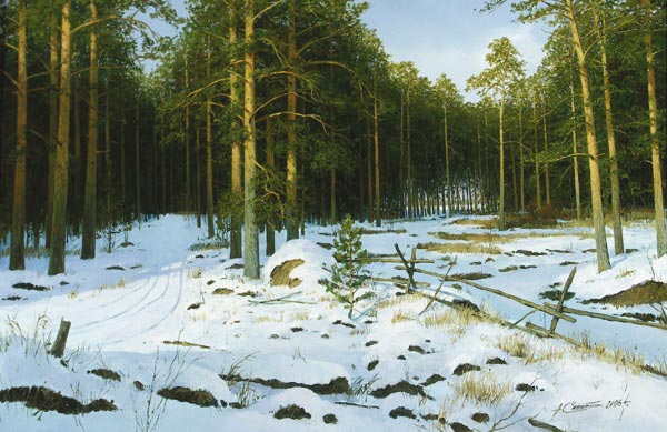 Сосновый лес.