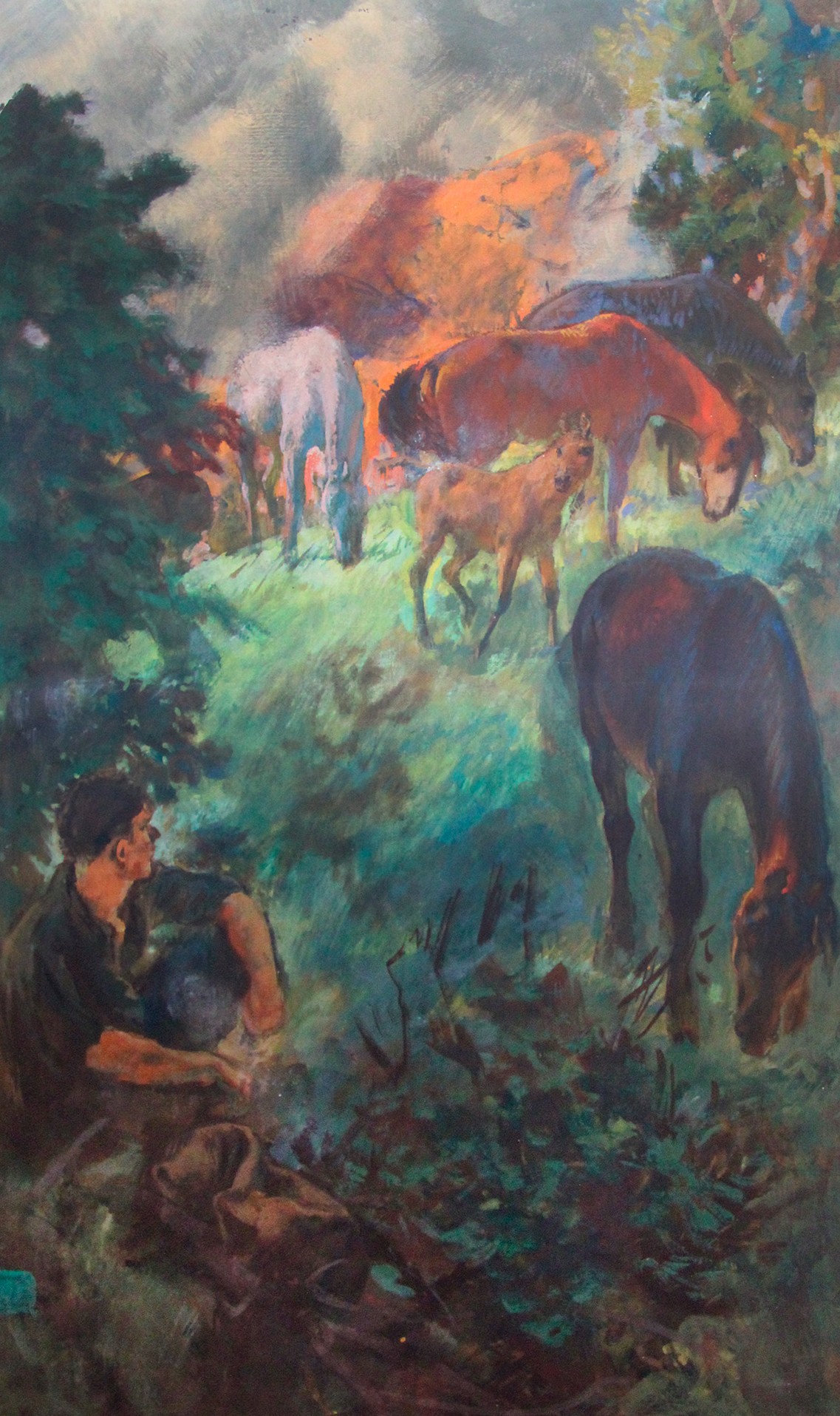 Caucasus. Horses at night.