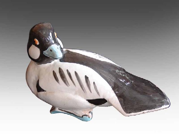 Duck. From the series of birds.