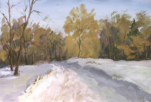Forest road.