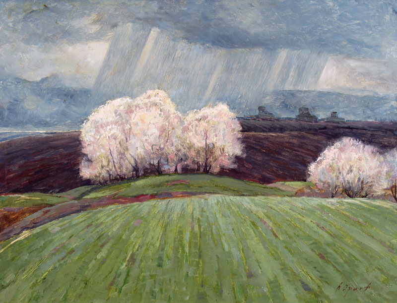Rain over the fields.