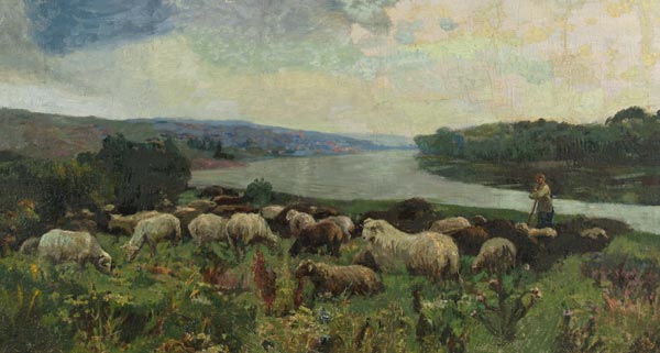 Lambs.