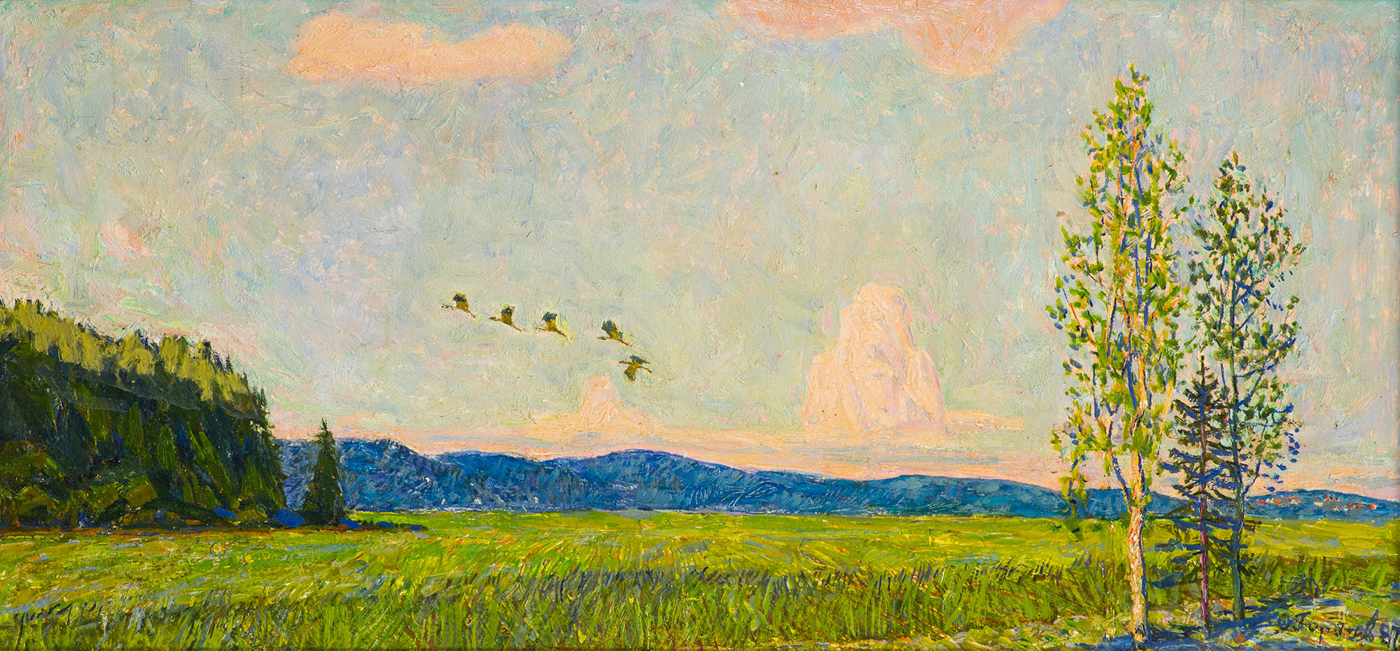 The cranes are flying.