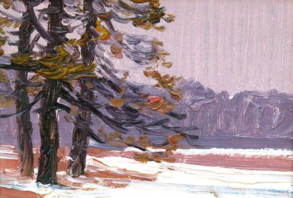 Winter oaks