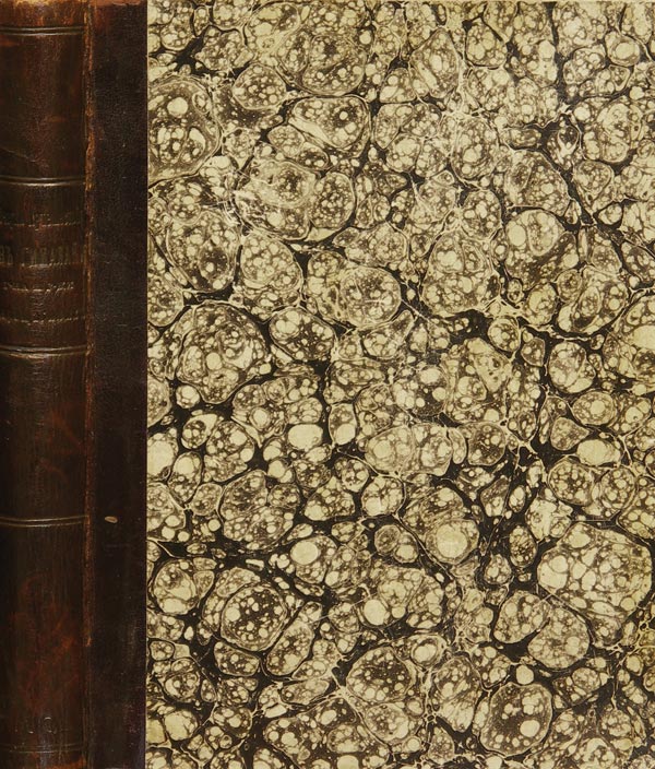 Vereshchagin V.V. "Essays on a trip to the Himalayas by Mr. and Mrs. Vereshchagin."