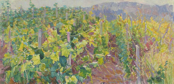 Vineyards.